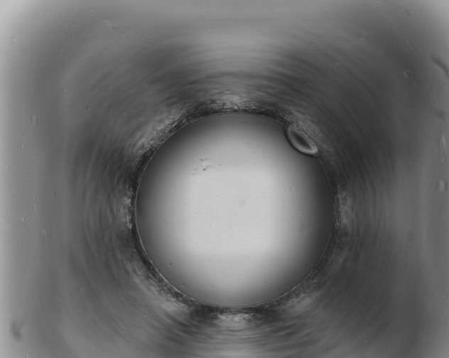 X0000103300450200809051526