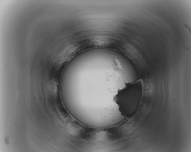 X0000103300456200809051526