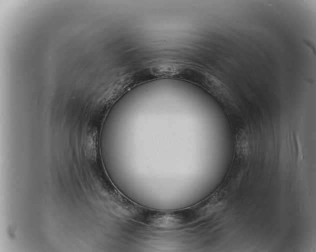 X0000103300460200809051526