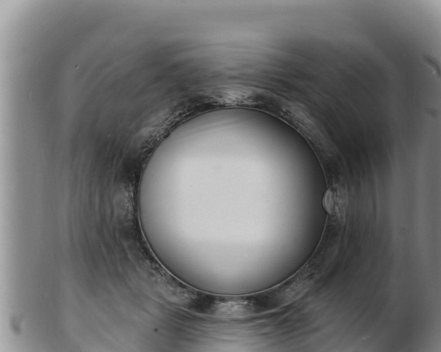 X0000103300461200809051526