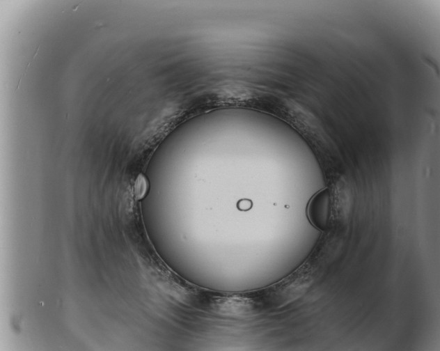 X0000103300463200809051526