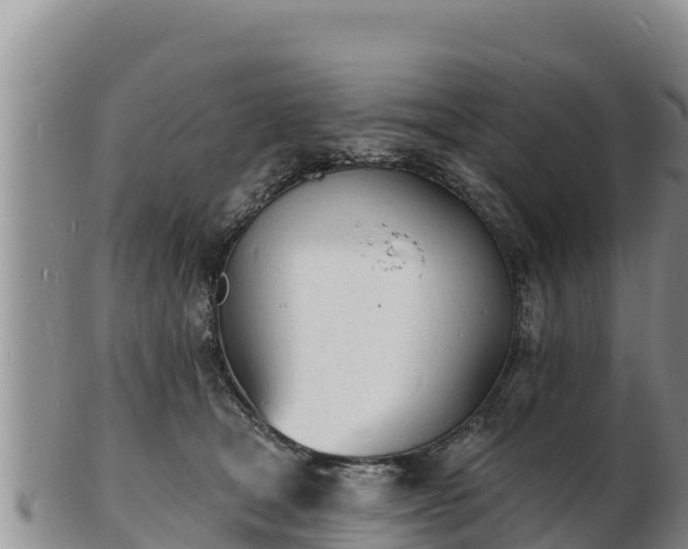 X0000103300465200809051526