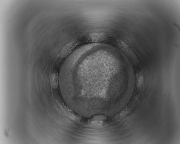 X0000103300471200809051526