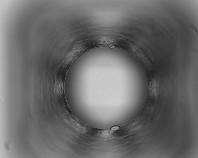 X0000103300474200809051527