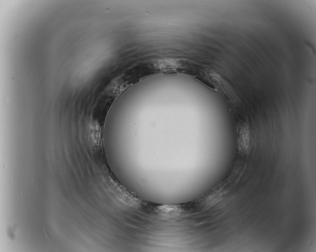 X0000103300477200809051527