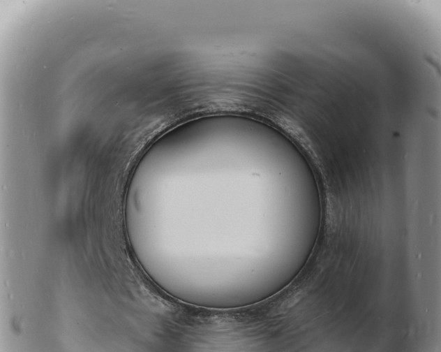 X0000103300481200809051526