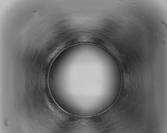 X0000103300482200809051526