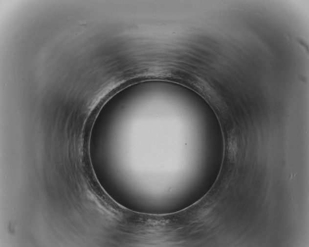 X0000103300484200809051526