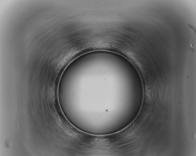 X0000103300487200809051526