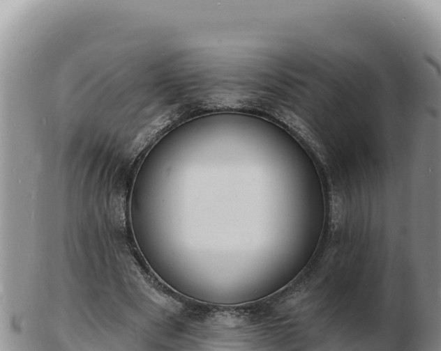 X0000103300489200809051526