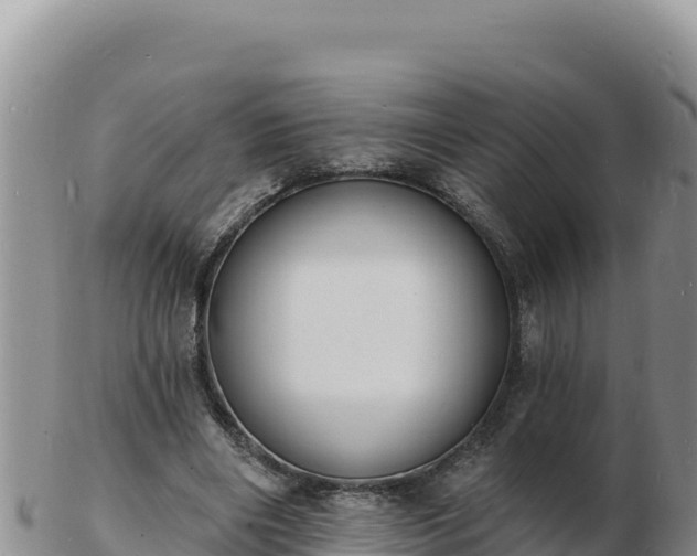 X0000103300490200809051526