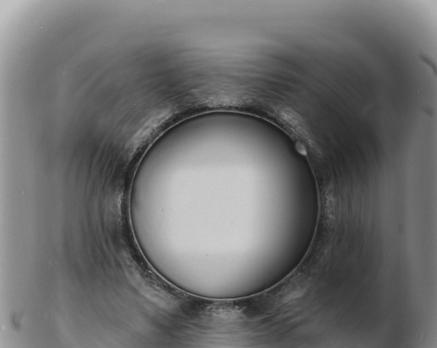 X0000103300491200809051526