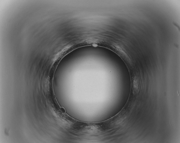 X0000103300492200809051526