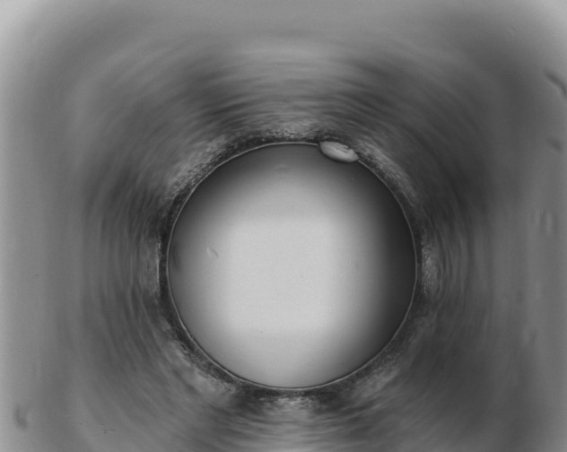 X0000103300493200809051526