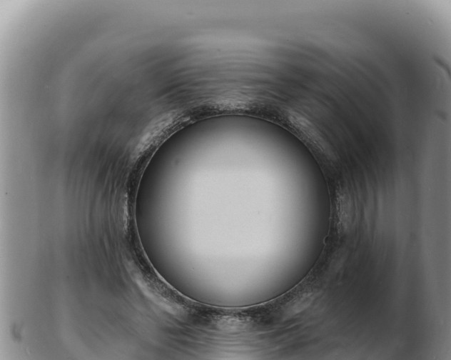 X0000103300494200809051526