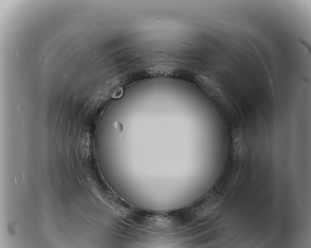 X0000103300498200809051526