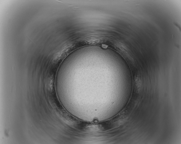 X0000103300499200809051526