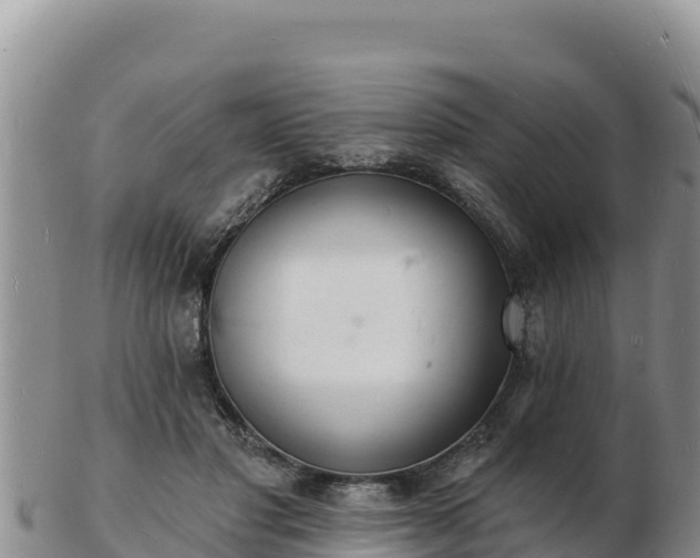 X0000103300501200809051526