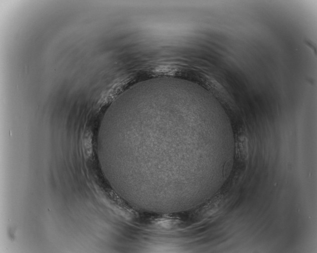 X0000103300504200809051526