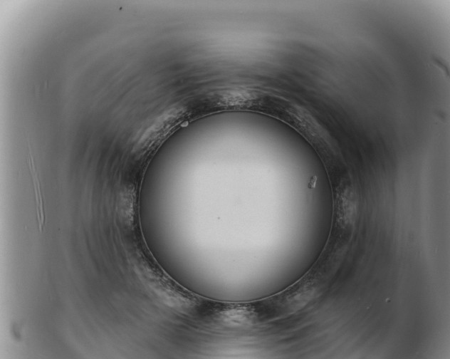 X0000103300505200809051526