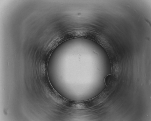 X0000103300506200809051526