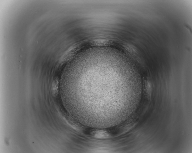 X0000103300507200809051526