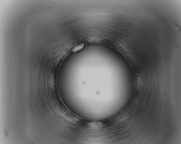 X0000103300508200809051525