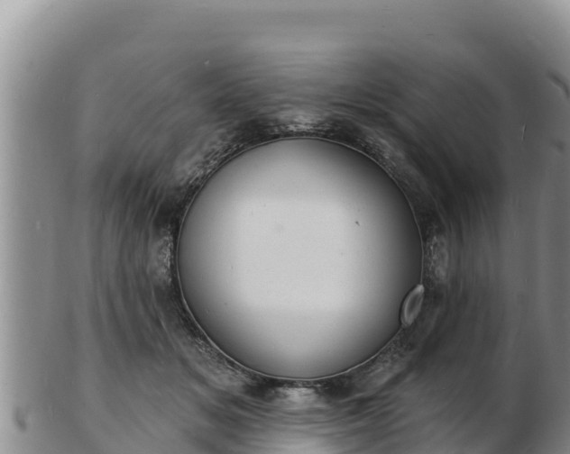 X0000103300509200809051525