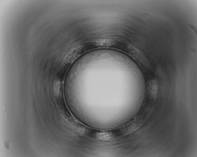 X0000103300511200809051525