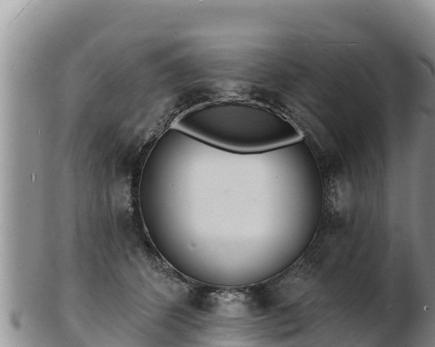 X0000103300512200809051525