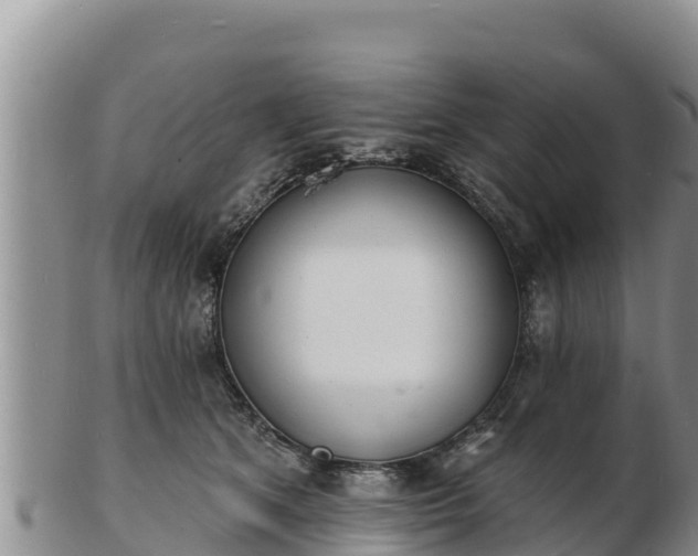 X0000103300513200809051525