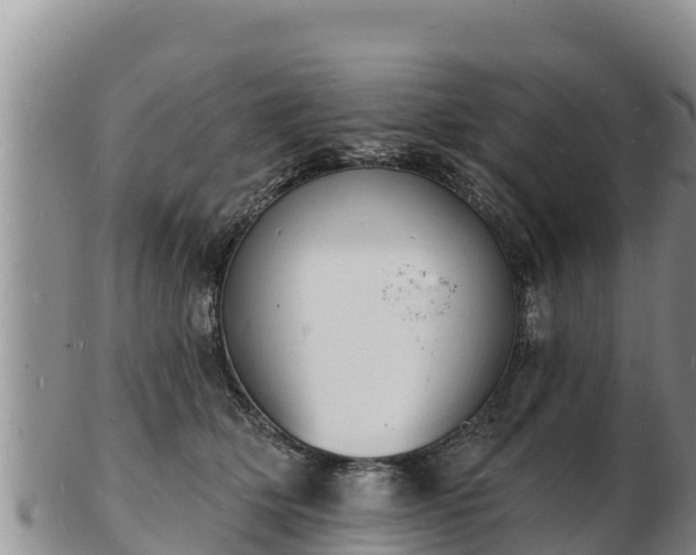 X0000103300514200809051525