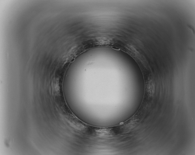 X0000103300516200809051525