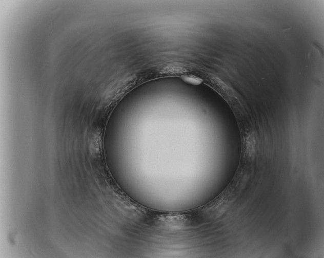 X0000103300517200809051525