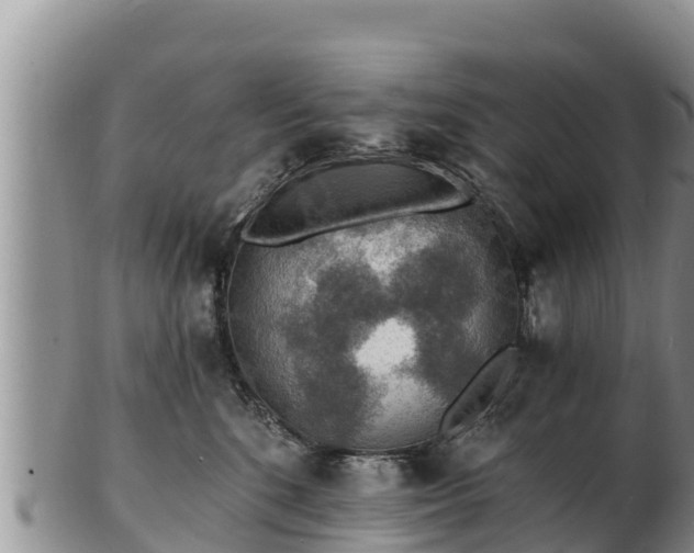 X0000103300520200809051525