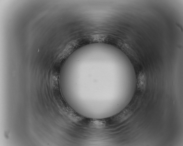 X0000103300522200809051525