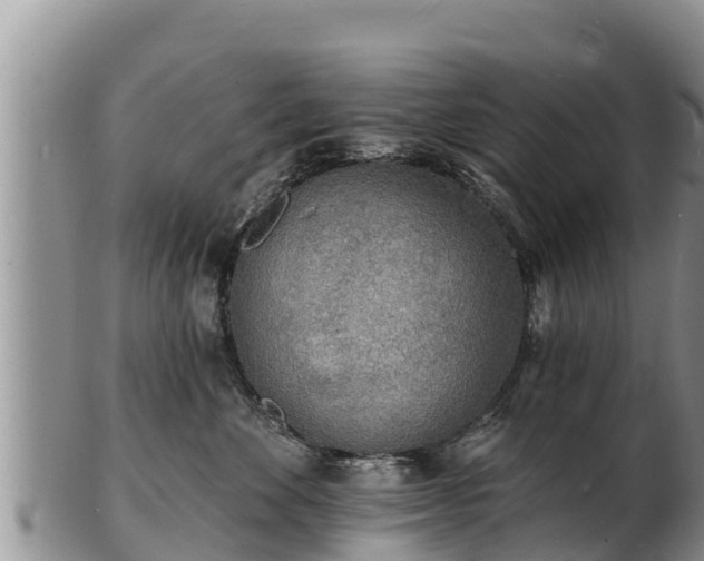 X0000103300524200809051525