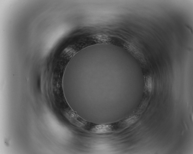 X0000103300526200809051525