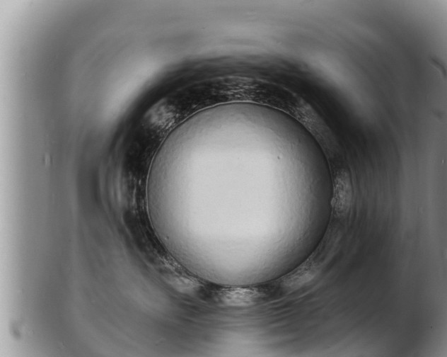 X0000103300527200809051525