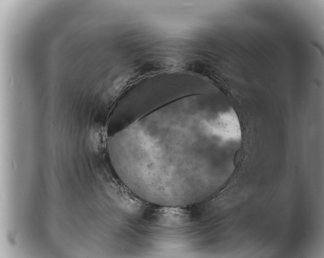 X0000103300528200809051525