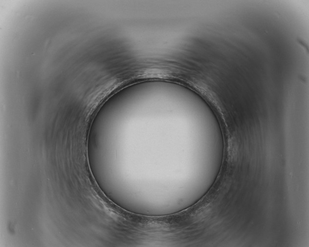 X0000103300529200809051525