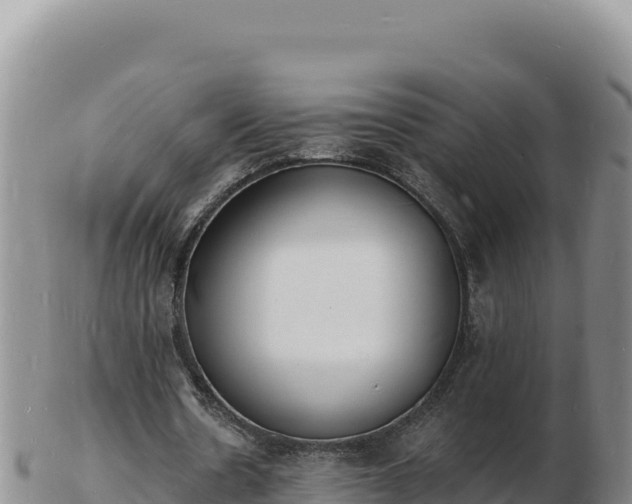 X0000103300530200809051525