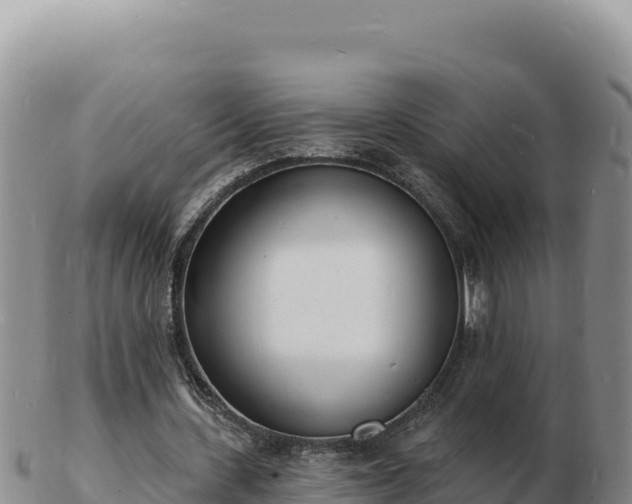 X0000103300531200809051525