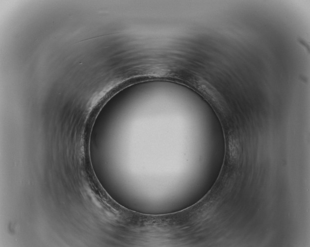 X0000103300532200809051525