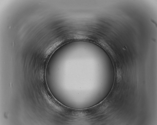 X0000103300533200809051525