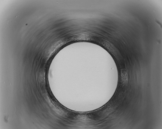 X0000103300534200809051525