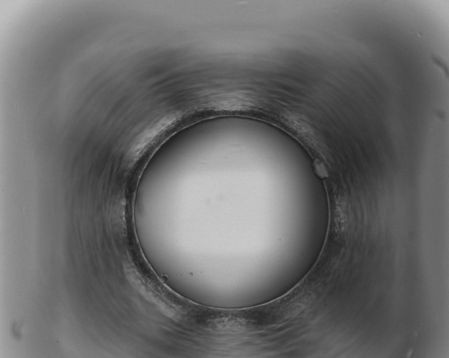 X0000103300535200809051525