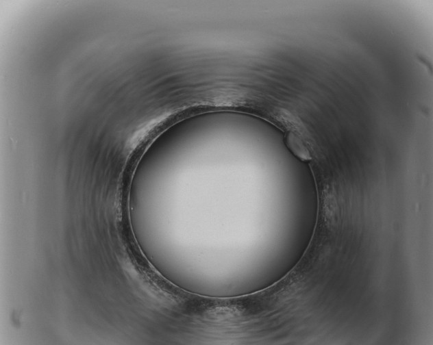 X0000103300536200809051525