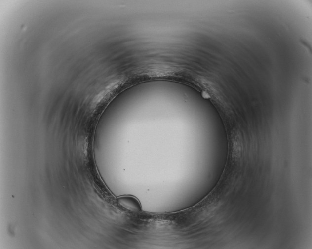 X0000103300539200809051525