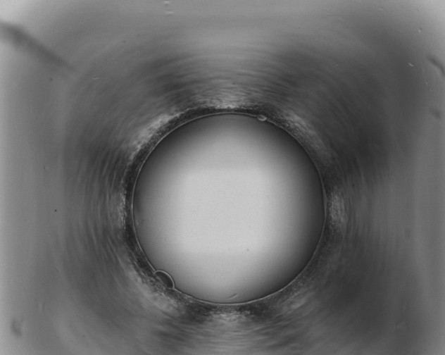 X0000103300540200809051525